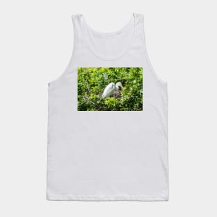 Nesting Great egret Tank Top